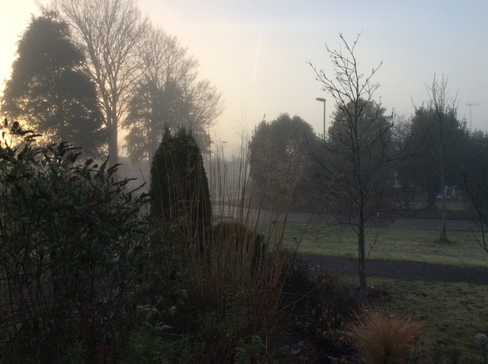 A misty early moring scene