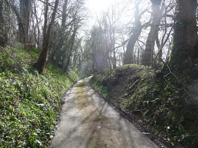 A Cotswold lane in spring