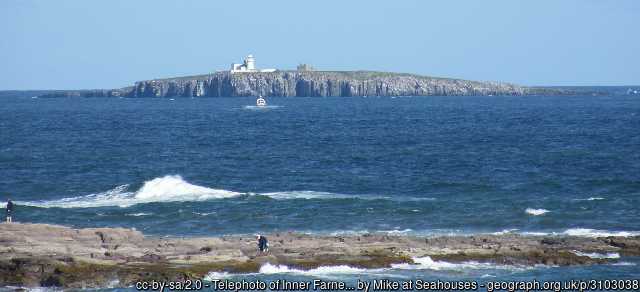 View of Inner Farne island from the coast