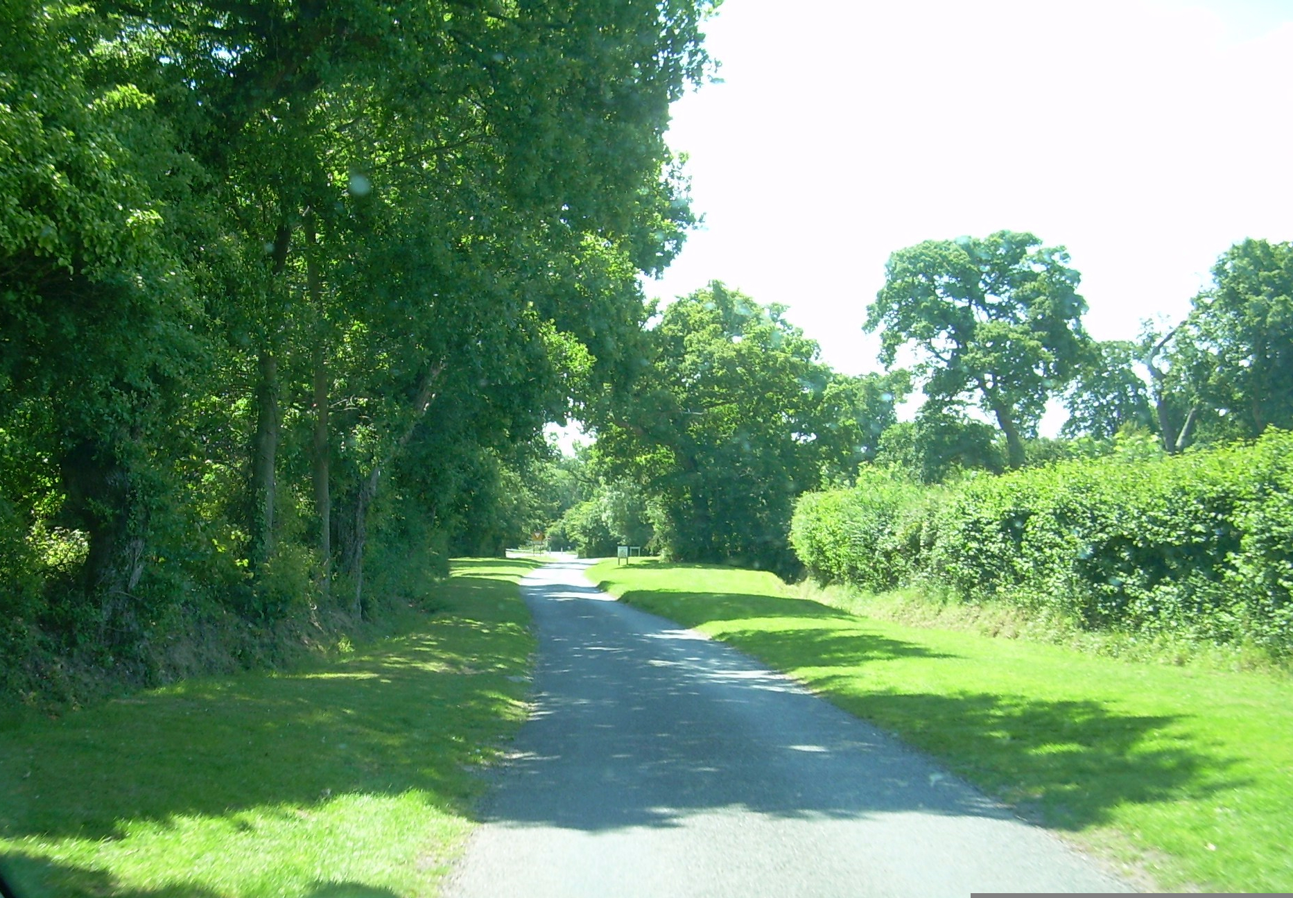 Hearing the first cuckoo would, in the past, be common here.