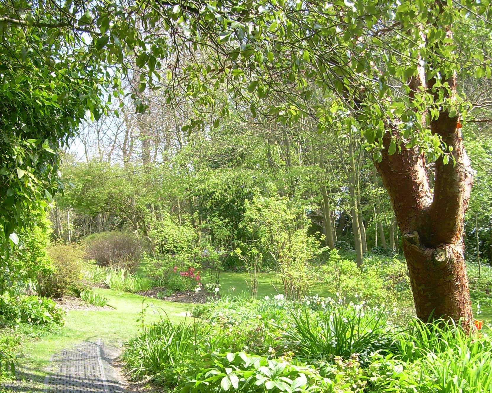 Highdown Gardens, West Sussex