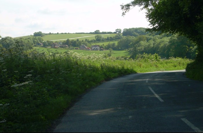 A country lane in summer