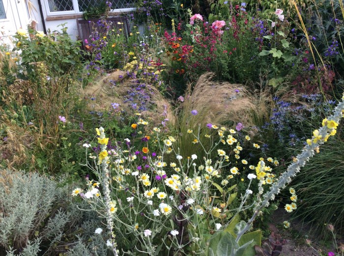 A cottage mix of pastel colour