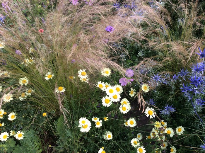 A Beth Chatto-style combination