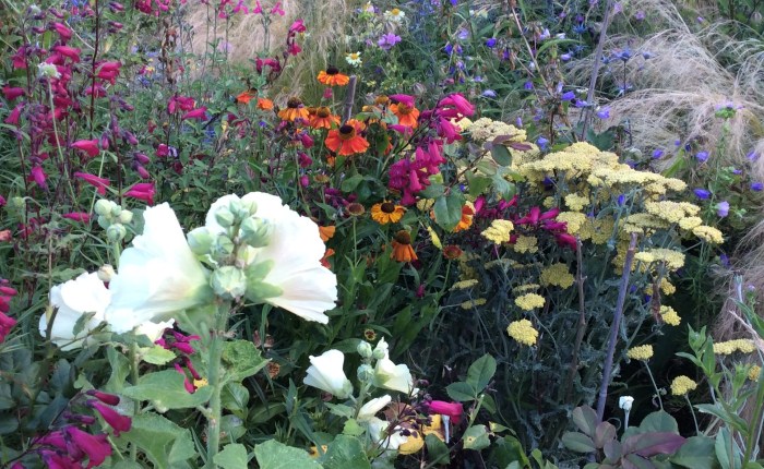 An Adventurous Gardener