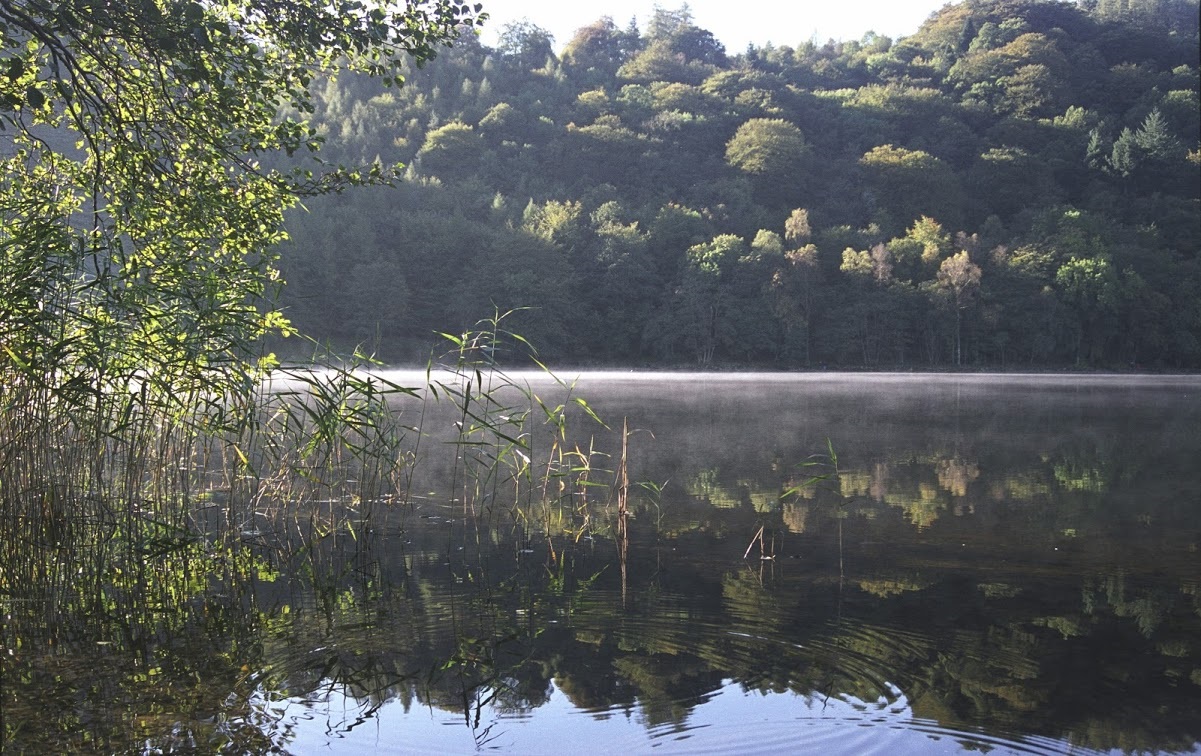16_Grasmere misty lake1