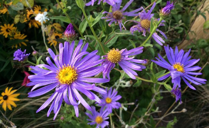 Michaelmas – angels&nbsp;unawares