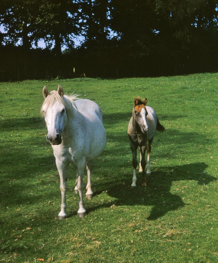 Sutton_October_2016_0016 (2)