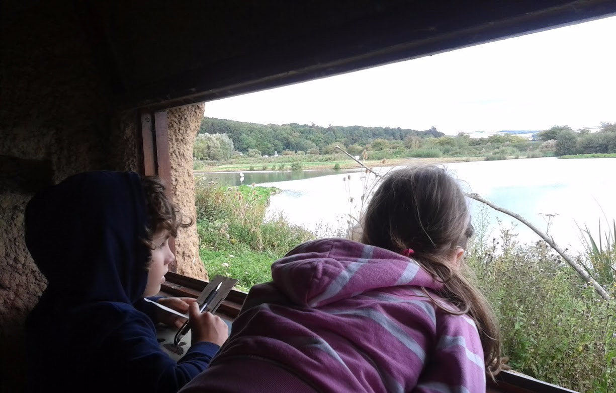 Children watching water fowl.