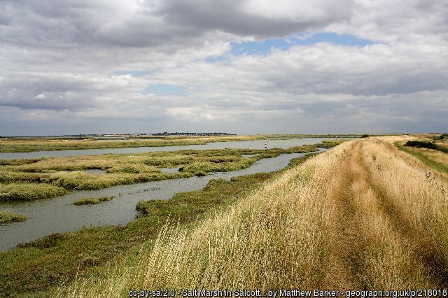 On the Essex&nbsp;Marshes