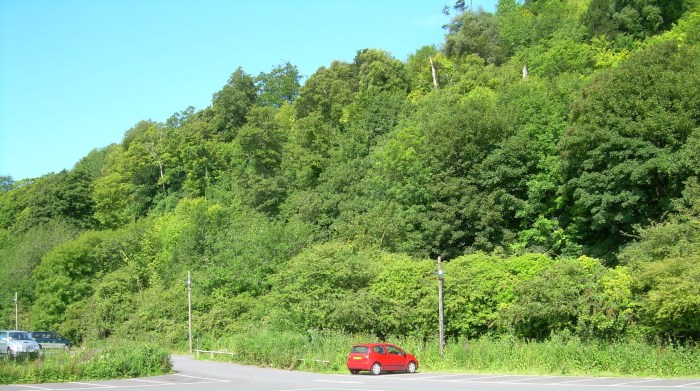 Arun Valley Woods full of May birdsong.