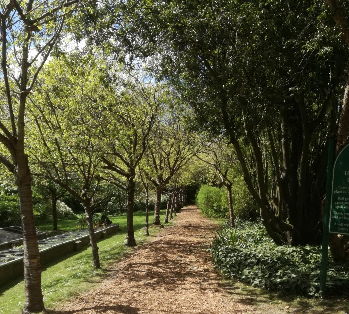 A garden for Song Thrushes