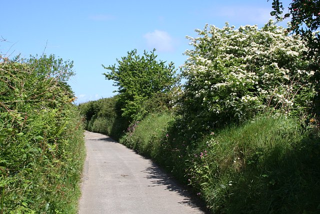 A Country Lane  with John&nbsp;Clare