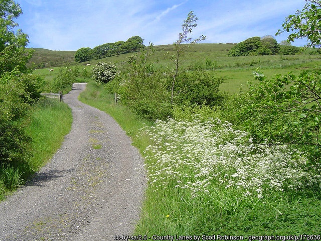 A winding country lane