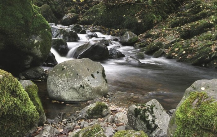 God's healing waters come to us. Photo of stream
