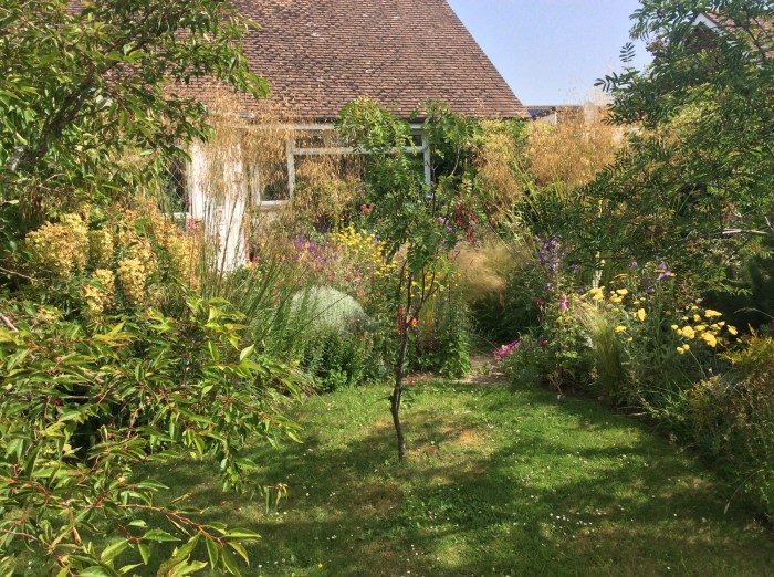 Mid-summer’s garden