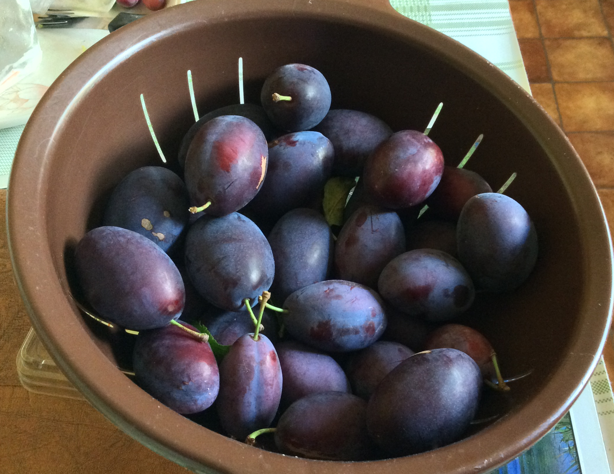 A bowl of ripe damsons