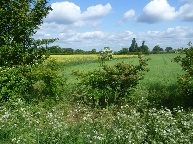 John Clare's countryside near Helpston
