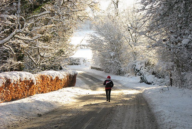 What’s Happening to&nbsp;Winter?