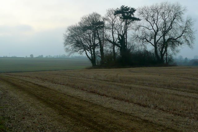 Prehistoric tumulus in the Cotswolds