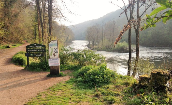 In Search of&nbsp;Spring