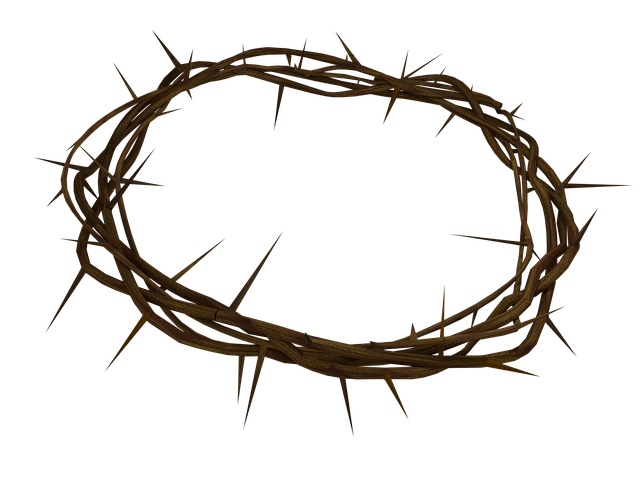 Christ's cross of thorns