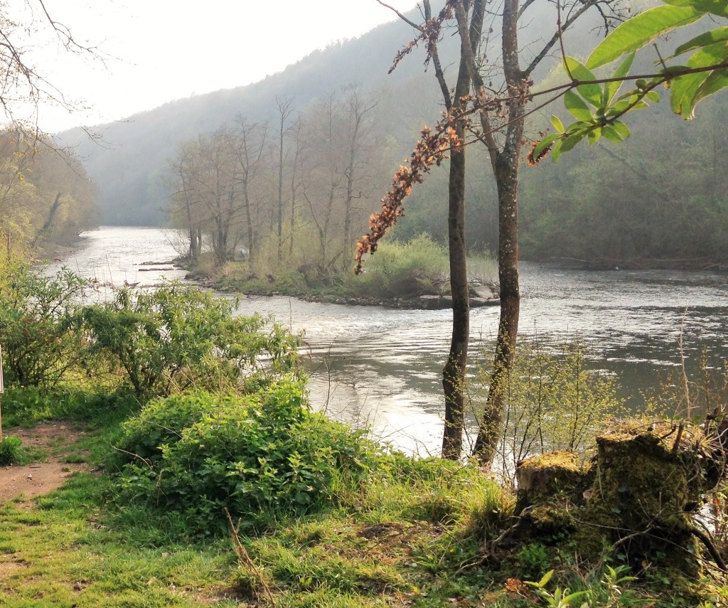 river flowing through spring woods