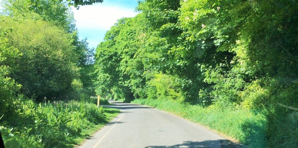 Country lane in May