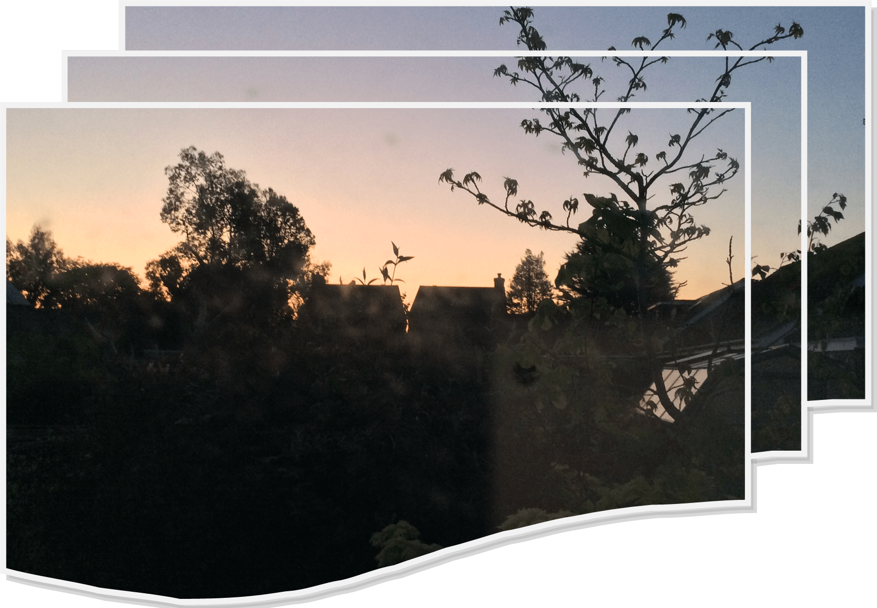 repeated photos of dawn