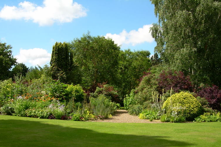 Lawn and flower borders at Denmans Garden.