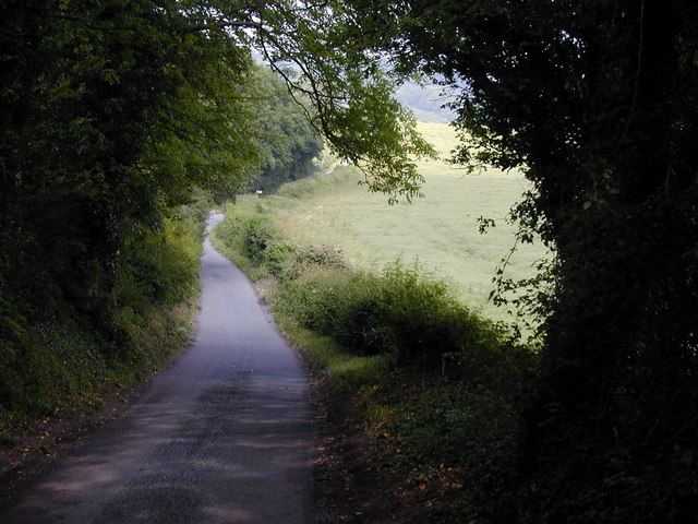 The Pilgrim's Way along edge of wood in Kent