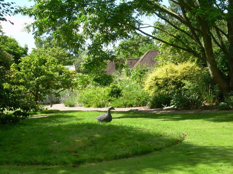 Shady lawn under ornamental trees at Denmans Garden, West Sussex.
