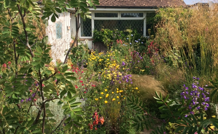 A Cottage Garden Open Day