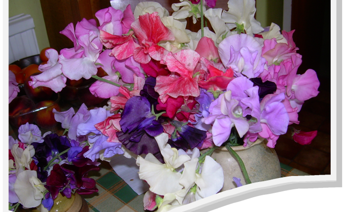 The Fragrance of&nbsp;Christ