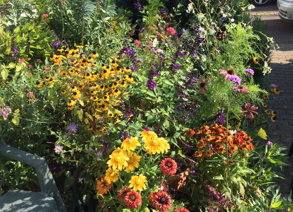 September flower display