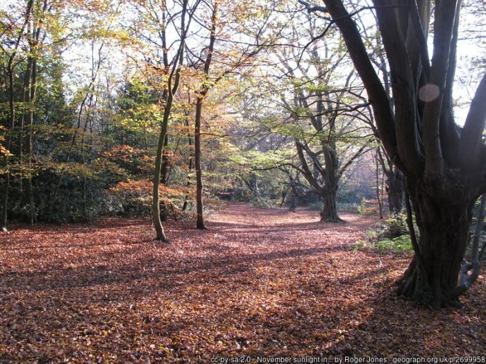 November – ending the day&nbsp;well