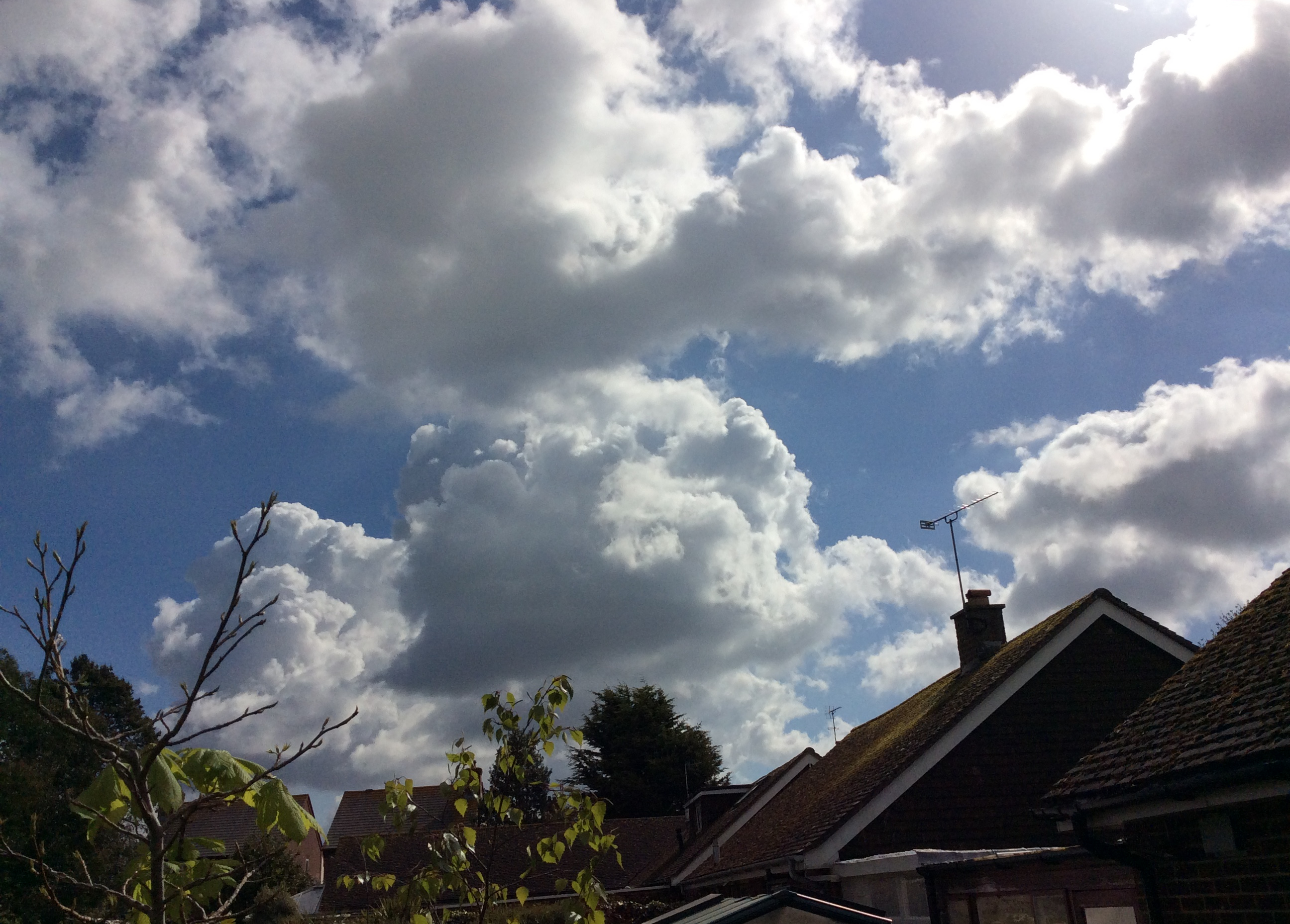 Fair weather cumulus clouds