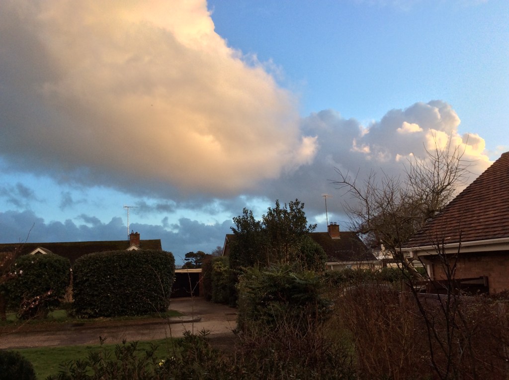Pink evening cumulus cloud