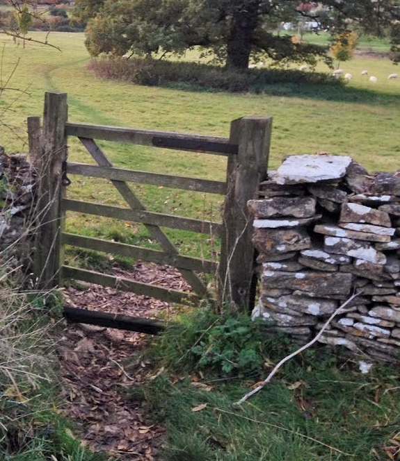 Gate into a field