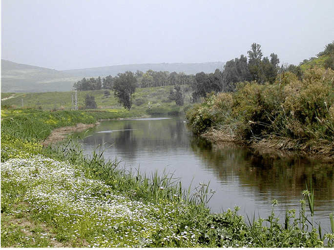 The River Jordan in open country