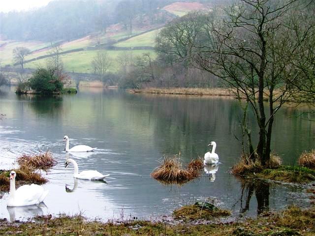 Rydale Water