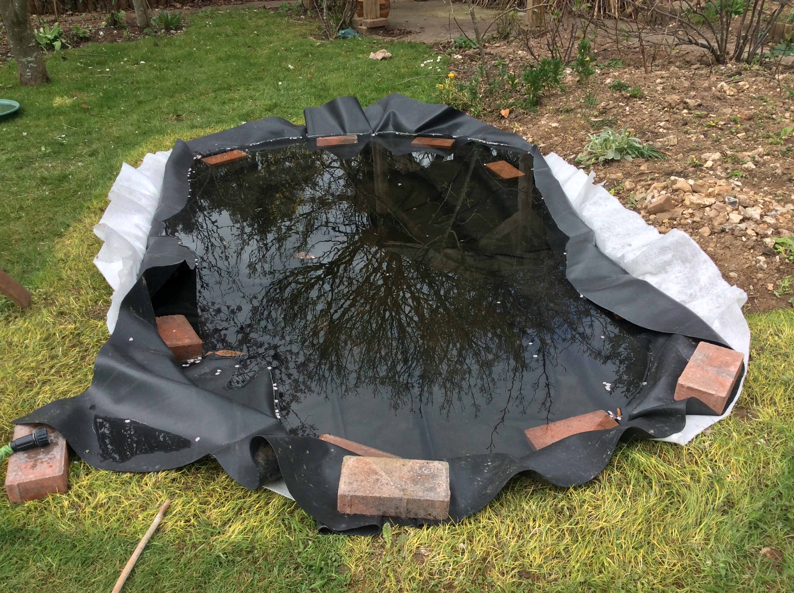 Wildlife pond filled with rainwater