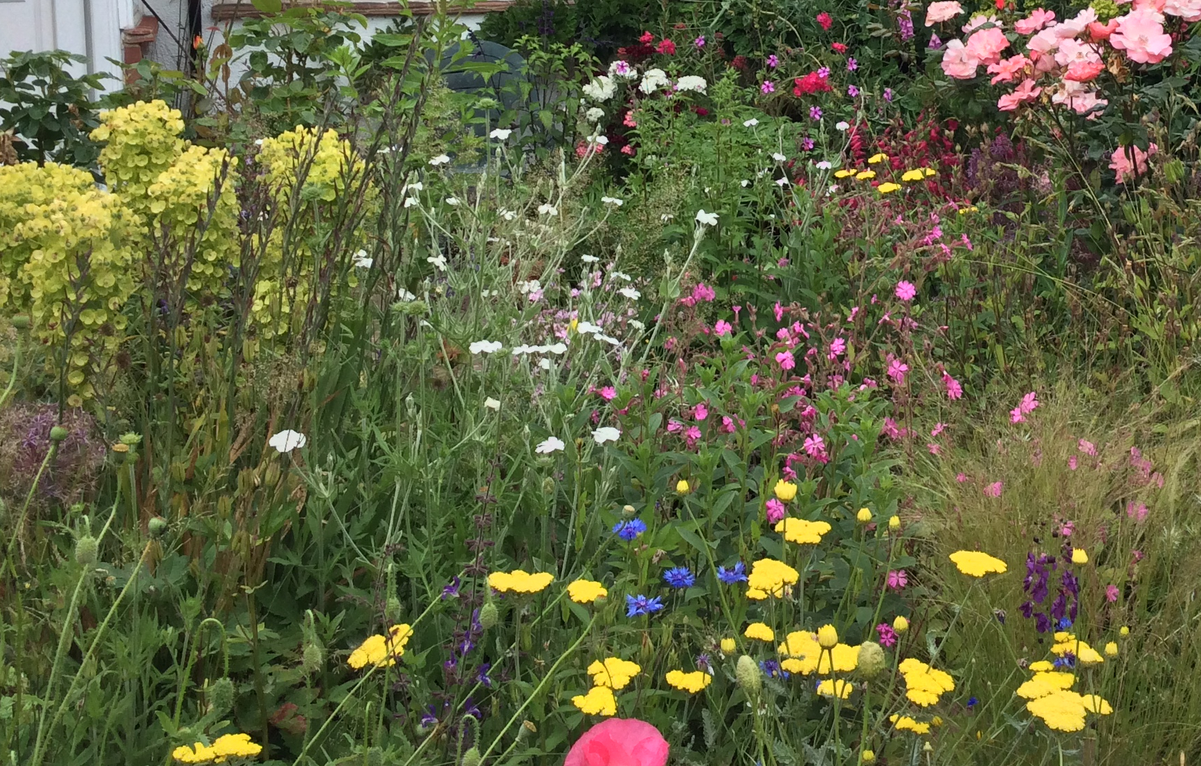 scented summer flower garden