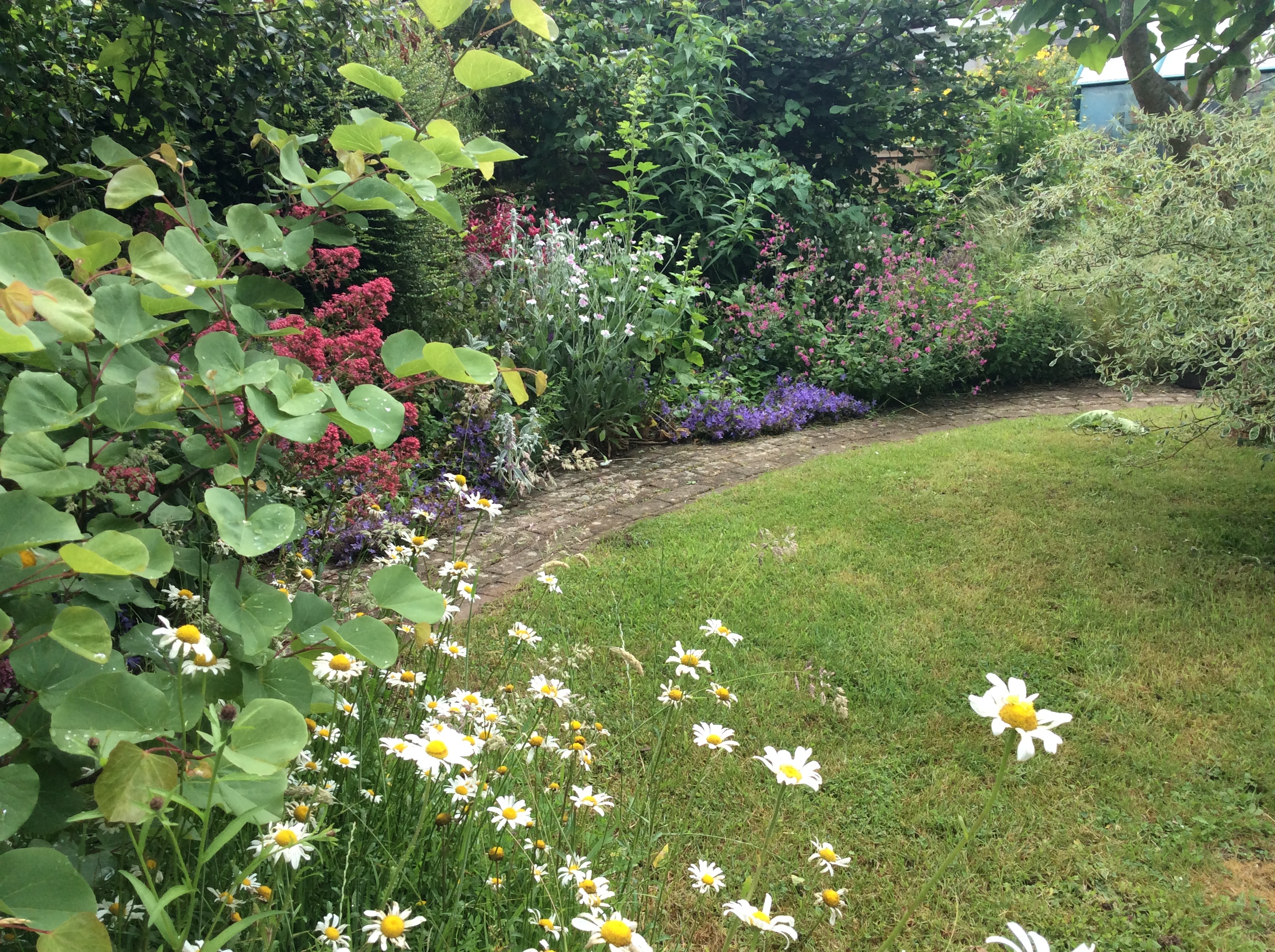flower border beside path