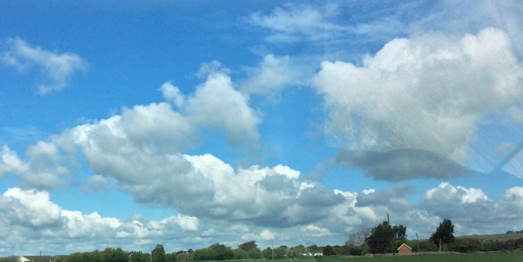 Summer cumulus clouds over wheat field