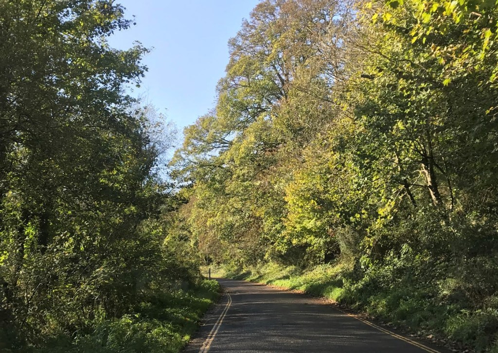 Sunlight an d shadows in a November lane