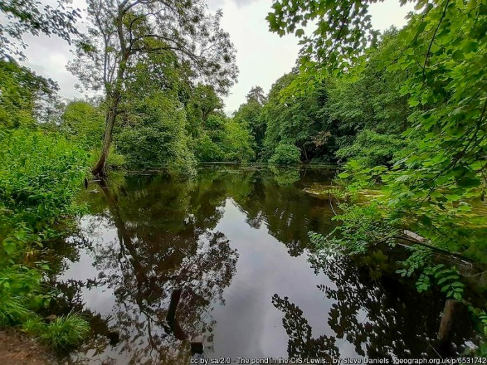 Pond in the C.S.Lewis Nature Reserve. Narnia?