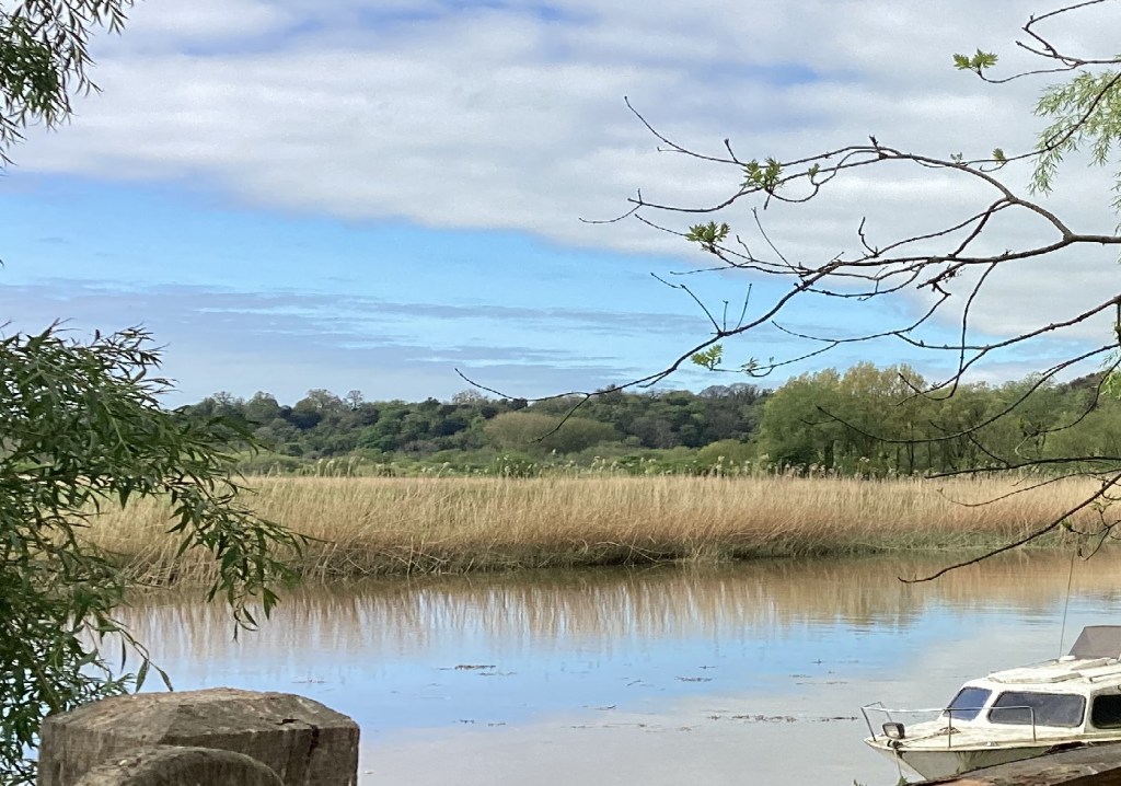 Arun river waterside scene