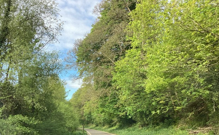 May’s Magnificence with John&nbsp;Keats