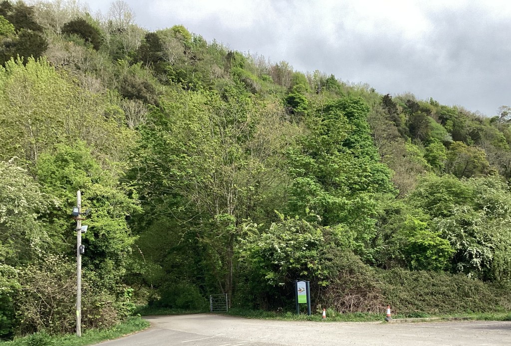 Woods over-looking the Arun river valley